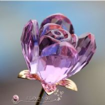 小福子充值店_虚拟物品网店推荐_53网店批发