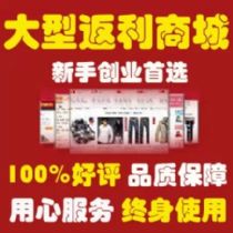 最投入高回报,日赚1000.开个大型淘宝返利分销