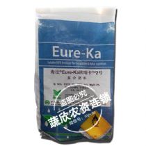 金太阳外研版小学英语三年级下册学习软件电脑