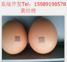 食品安全追溯系统案例之鸡蛋_微信微商其它产