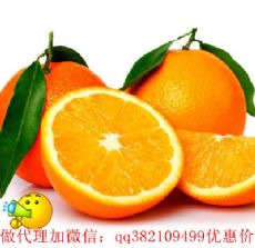 代理(4)_淘宝耐克一件代发微商代理免费厂家一