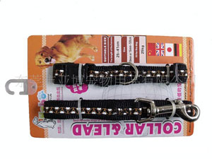 宠物用品批发网店货源_淘宝宠物用品免费网店