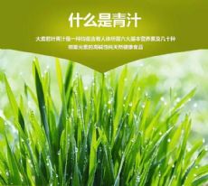 大麦苗和小麦苗的区别_青汁 樱枝青汁减肥效果