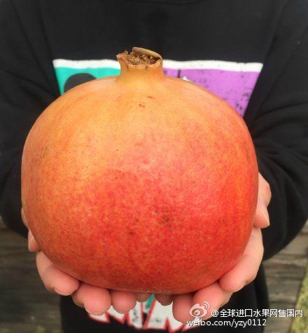 全球进口水果网售国内,诚招微商免费做代理_微