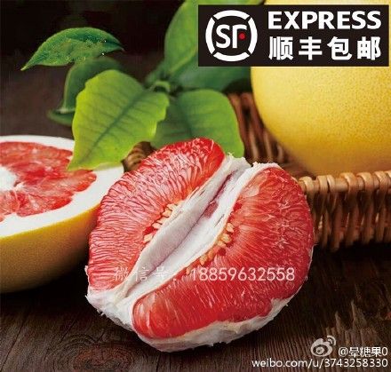 微商红肉蜜柚一手货源一件代发_最新微信微商