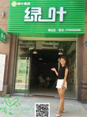 苏州绿叶产品到底是什么原因这么火爆?这个项