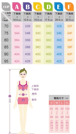 内衣尺寸_怎样测内衣尺寸(2)