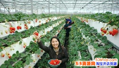 马云说未来十年最赚钱的行业最具赚钱潜力的十