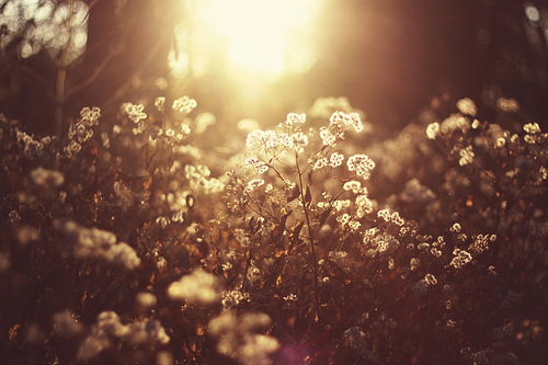 淘宝用拍立淘继续打击微商_53货源网 网上创业