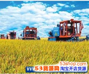 男生学什么热门手艺技术好?选未来十年最赚钱