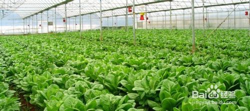 农村做什么生意好?适合小县城的生意_53货源