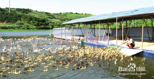 农村做什么生意好?适合小县城的生意_53货源