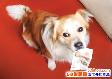 白手起家做什么生意好?推荐一个无本创业好项