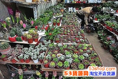 更多科技成果从“书架走上货架”武汉又一环大学创新带加速崛起