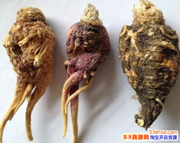 玛卡真假如何辨别?怎么样鉴别真伪?_53货源网