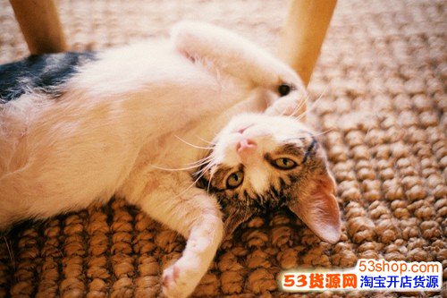 成熟励志的微信网名大全 自信有态度的微信名