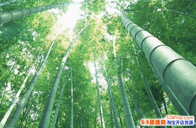 适合40岁成熟男人的微信网名 古典风儒雅的微