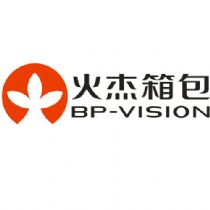 BP-VISION