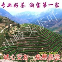 供应高、中、低档铁观音茶叶
