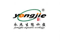 ܣyongjie