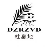 DZRZVD ꩵ