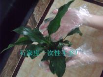 ��Ĥ����|һ���Ա�Ĥ����|һ����ʹ�ñ�Ĥ���������۸�