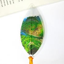 ȻҶǩ ɽμƷ Ҷ걾 ɫƷ