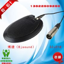 Bjsound  CZJ-318洫 ߽滰Ͳ ˷