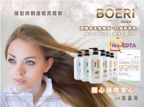 Boeri