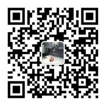 �ߵ�Ʒ�Ʒ�װ����ֱ��