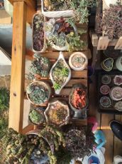 ��ܰ����԰��