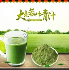 大麦苗和小麦苗的区别_青汁 樱枝青汁减肥效果