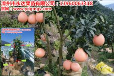 һǮ|ֹ繩Ӧ