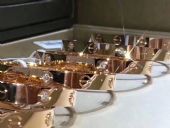 Cartierָȡ̻Դӭ