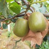 ⨺ ⨺ Ļ һһֻԴƷ