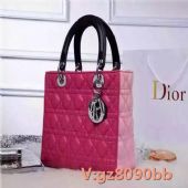 һֻԴĸ߷DIOR,Ǯ