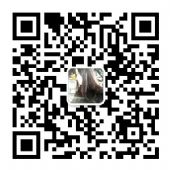 �ݳ�Ʒ��Ь �߷���Ь ŷ��վ��Ь