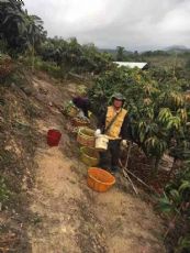 园直供 一件代发 免费代理 坏果包赔_微信微商