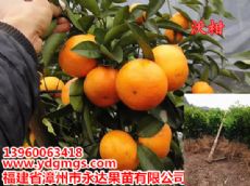 �ָ������ ��������Ʒ���ָ��������й�Ӧ