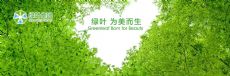 苏州绿叶大生活