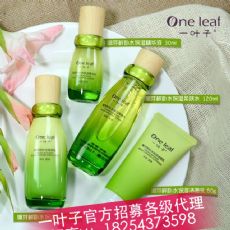 一叶子护肤品适合哪个年龄段?一叶子好用吗?