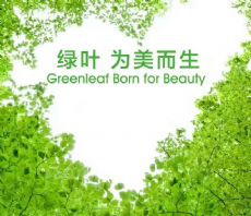 绿叶爱生活卫生巾怎么代理,加入绿叶会员后才