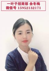 ���Ϻ���һҶ�����̾����ඬ÷��Ĥ