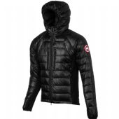 �߷¼��ô�����޷���������������۸���Ҫ����Ǯ����