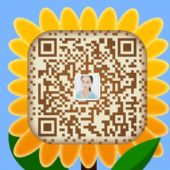 ��ʱ�����������������