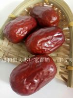 �½�������泧������ʱ��