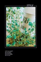 ʲô���ӵ�BB˪Ĩ����֮��͸�������һ����������ľBB˪��