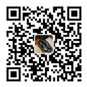 �߷�LV��Ь ����д���������ֱ����ֻ����Ʒ��