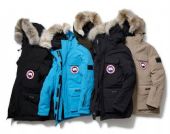 高仿加拿大鹅衣服多少钱能批发?哪里买的保暖