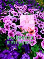 ʱ»𱬵΢Ŀʲôʲô۸